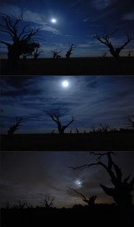 半夜爆料的视频素材,神秘视频曝光，真相令人震惊！  第3张